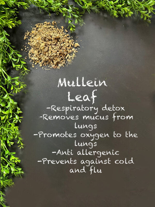 Mullein Leaf Tea